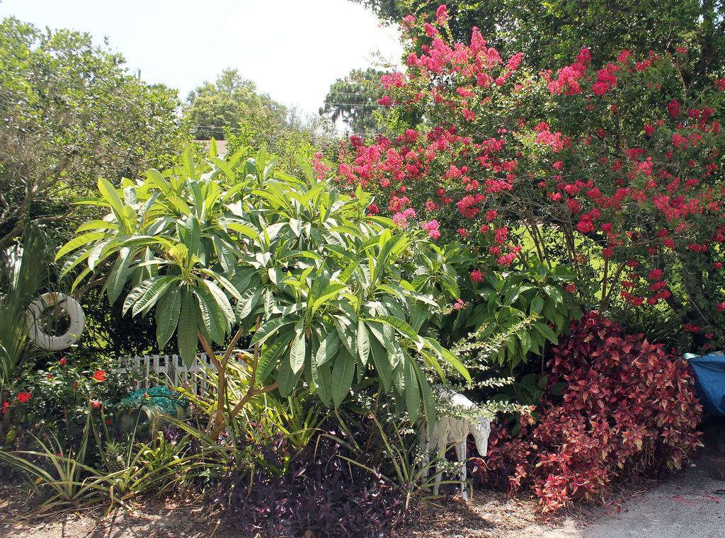 Heron Cay Lakeview Bed & Breakfast Mount Dora Bagian luar foto